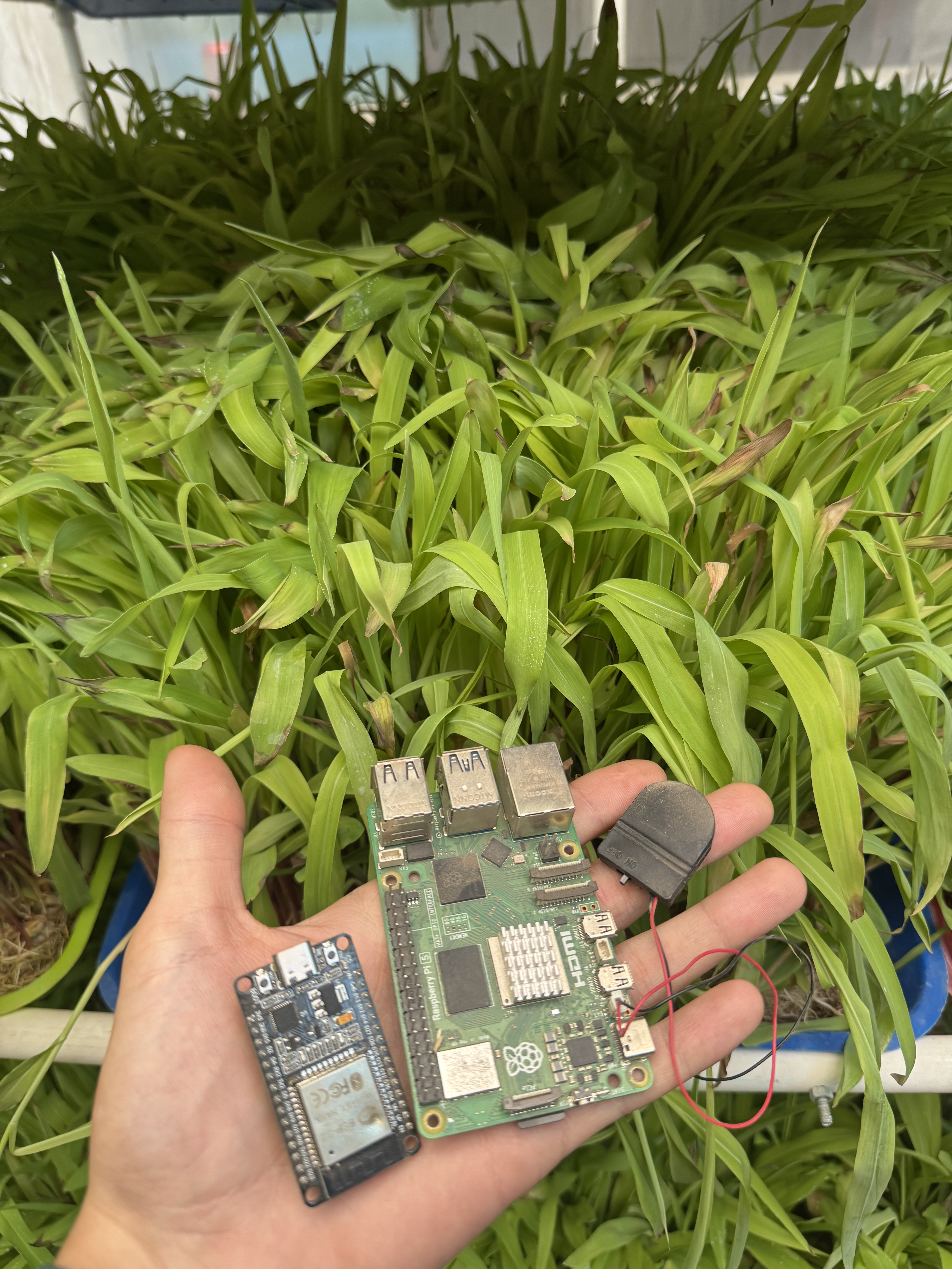 Sistema automatizado de Forraje Verde Hidropónico de AgroTronic